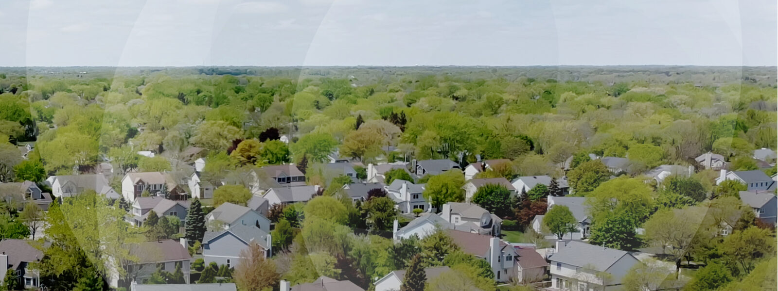 Drone view of a leafy suburban midwestern neighborhood